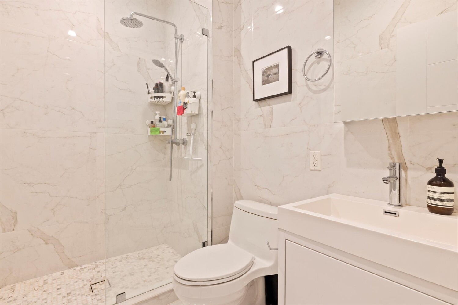 #9 photo, 511 HERKIMER Street, Stuyvesant Heights , NY 11213