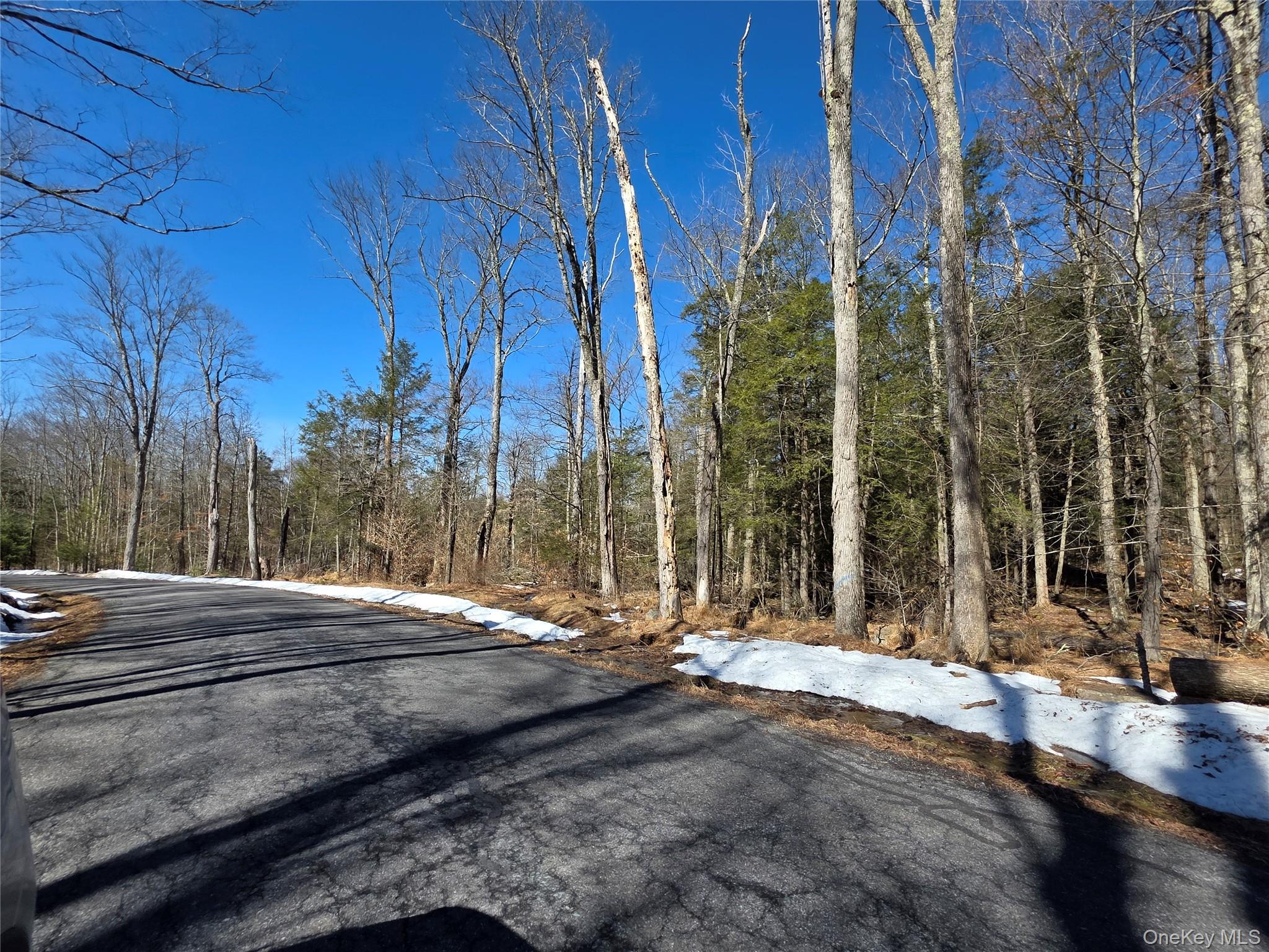 #2 photo, Gregory Road, Monticello , NY 12701