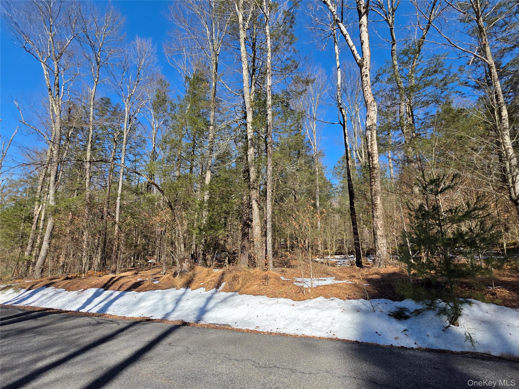 #3 photo, Gregory Road, Monticello , NY 12701