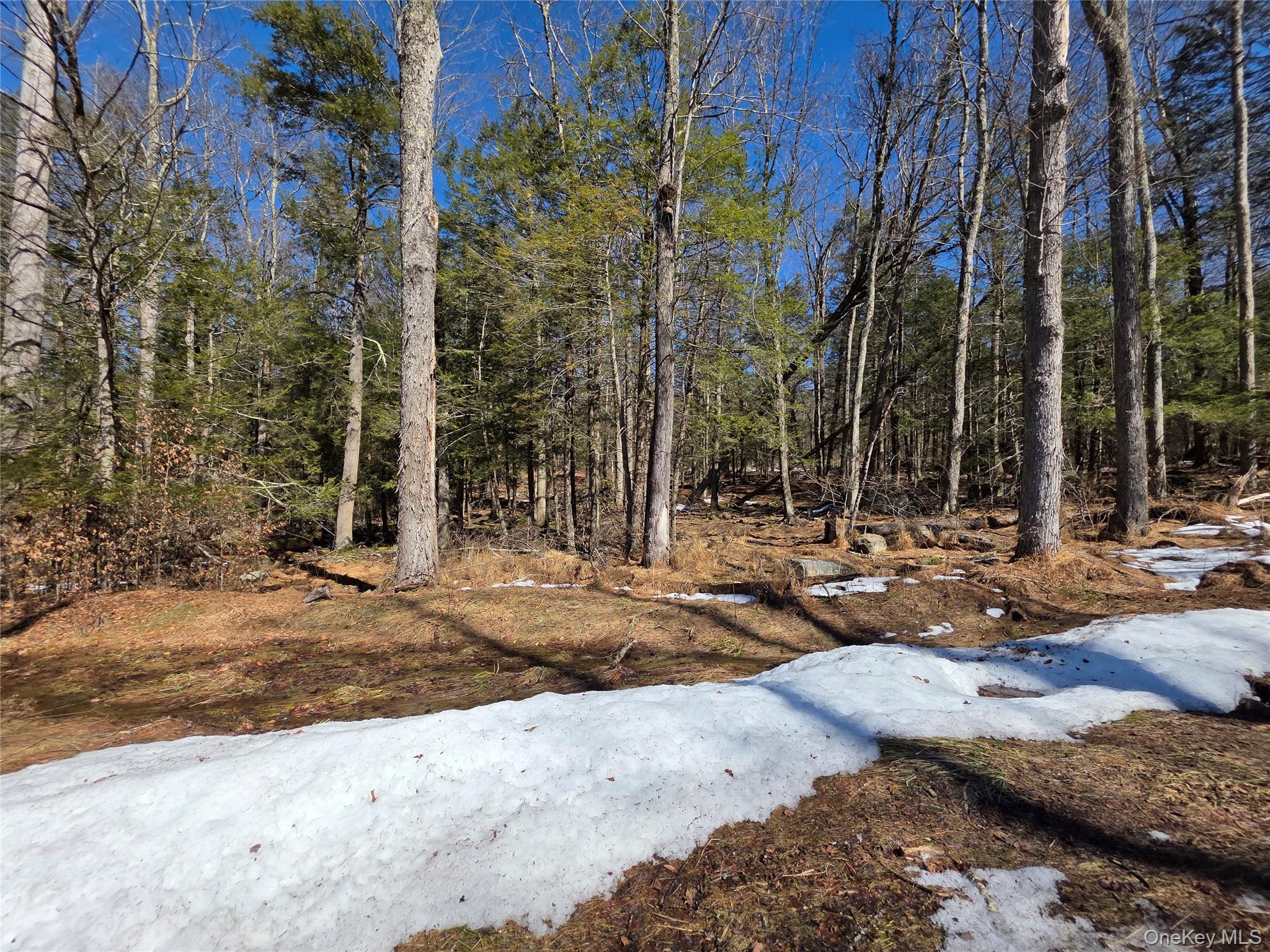 #5 photo, Gregory Road, Monticello , NY 12701