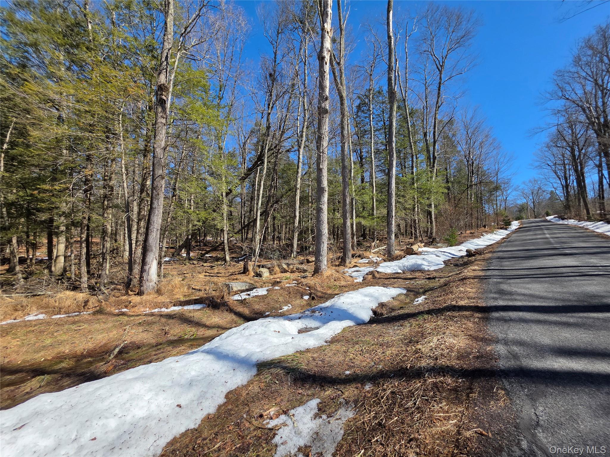 #6 photo, Gregory Road, Monticello , NY 12701