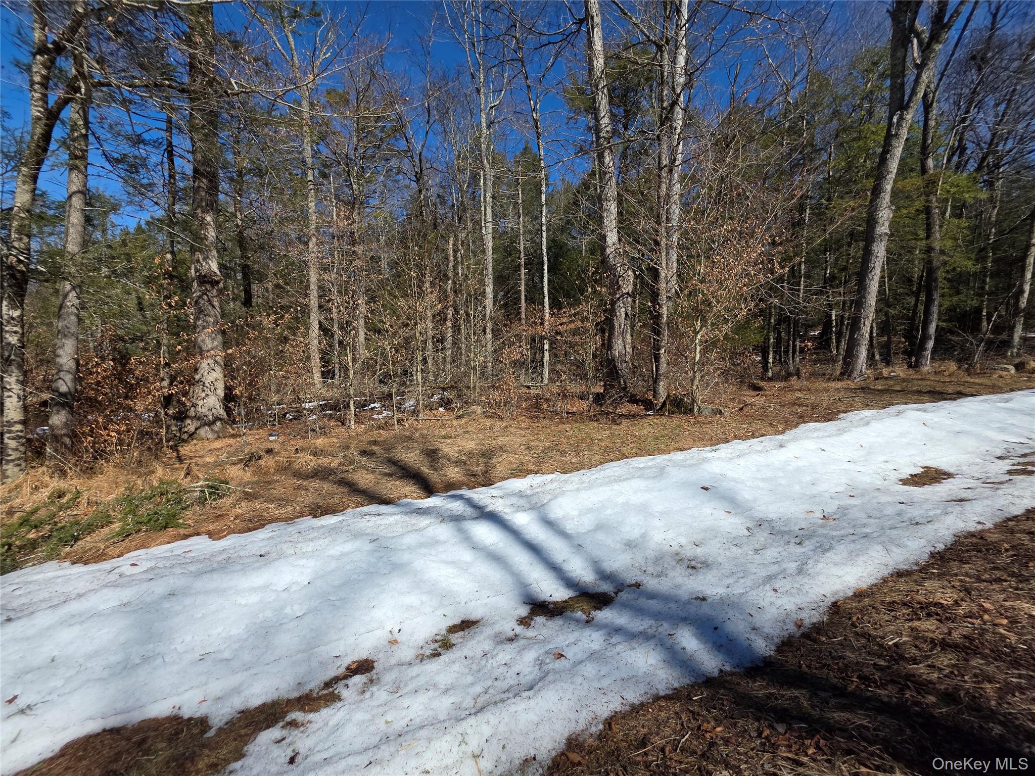 #7 photo, Gregory Road, Monticello , NY 12701