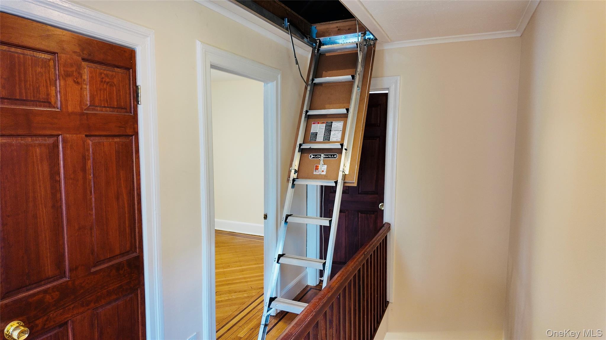 #13 photo, 1813 Willow Lane, Bronx , NY 10461