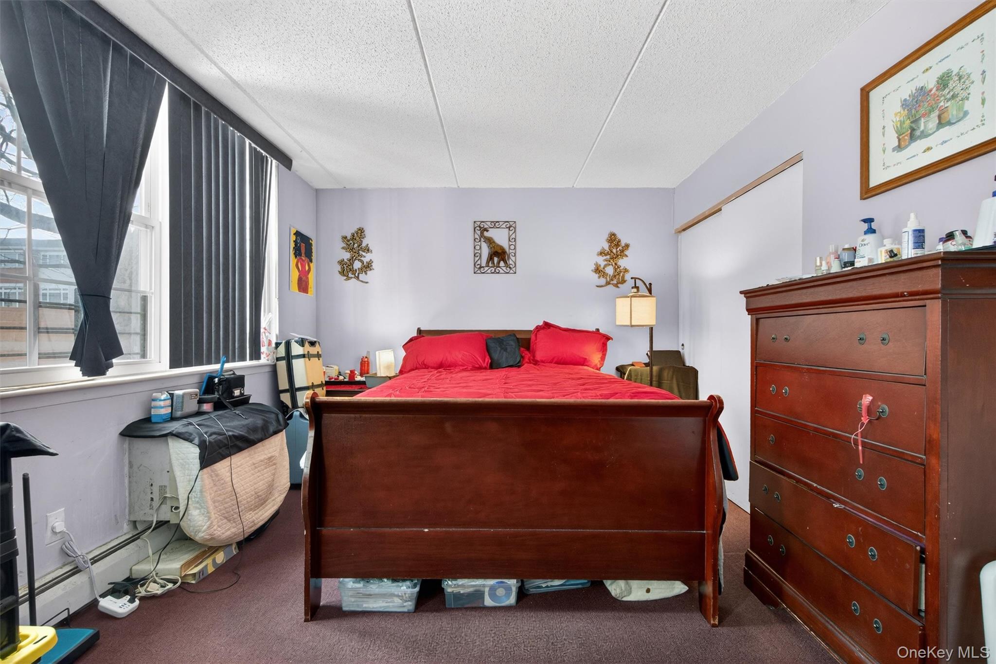 #17 photo, 204 Sunset Boulevard, Bronx , NY 10473