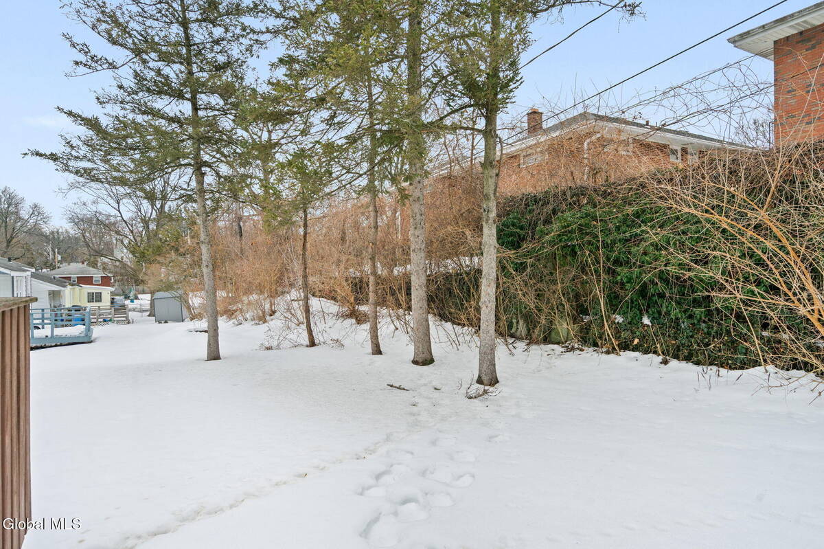 #25 photo, 165 S Pine Avenue, Albany , NY 12208