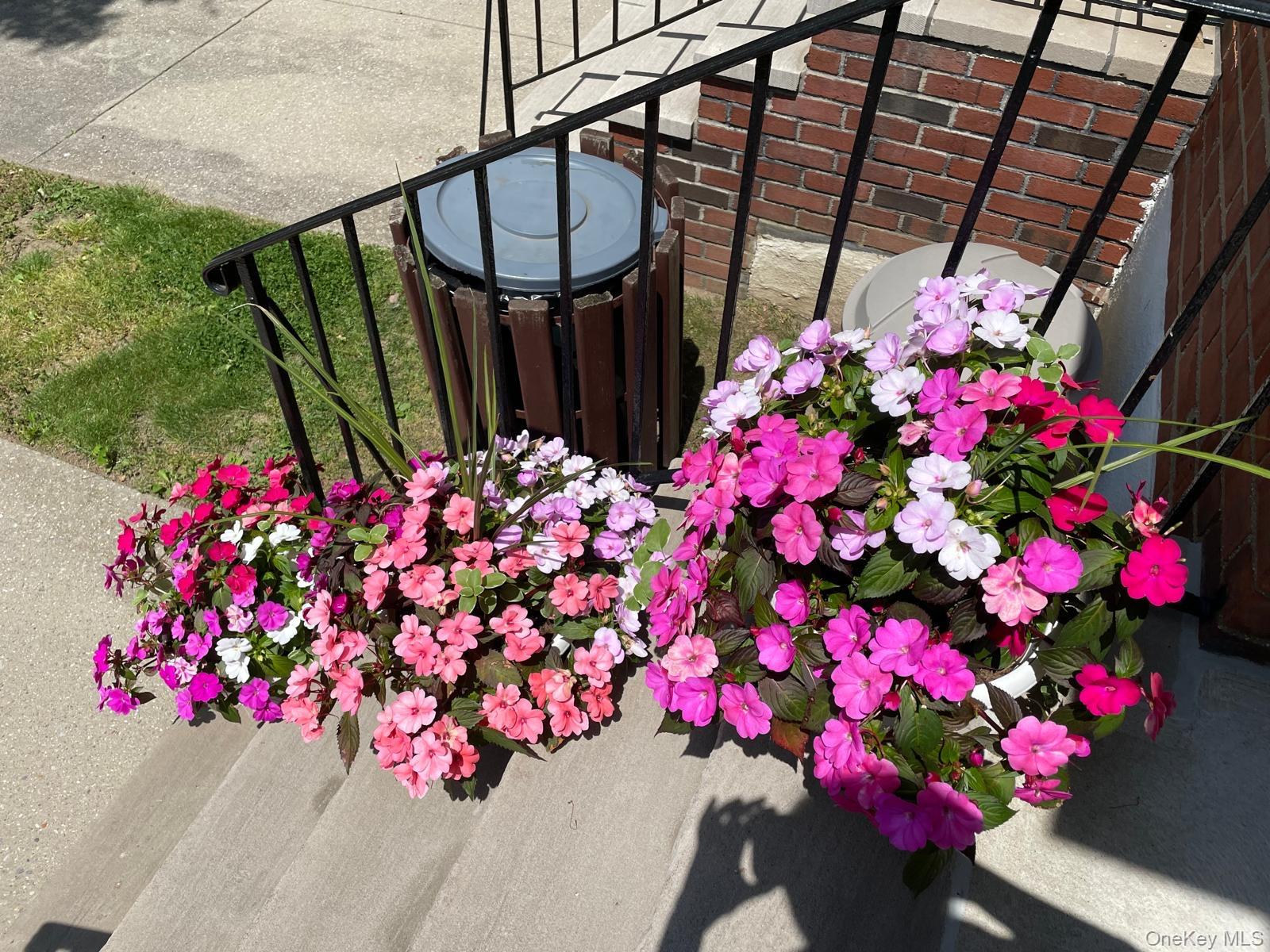 #2 photo, 68-37 138th Street, Flushing , NY 11367