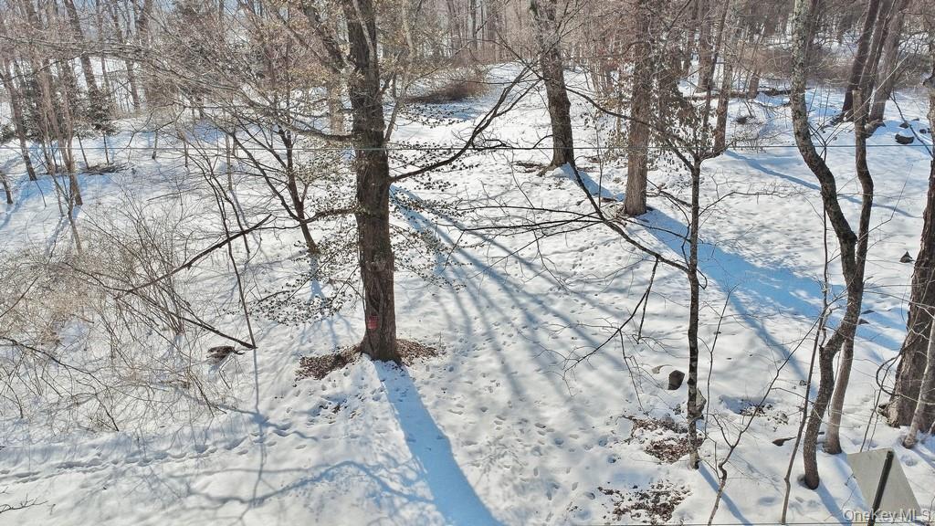 #10 photo, 139 Mill Dam Road, Stone Ridge , NY 12484