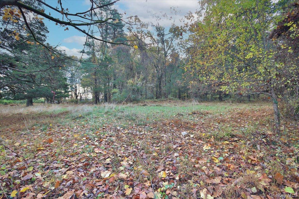 #17 photo, 139 Mill Dam Road, Stone Ridge , NY 12484