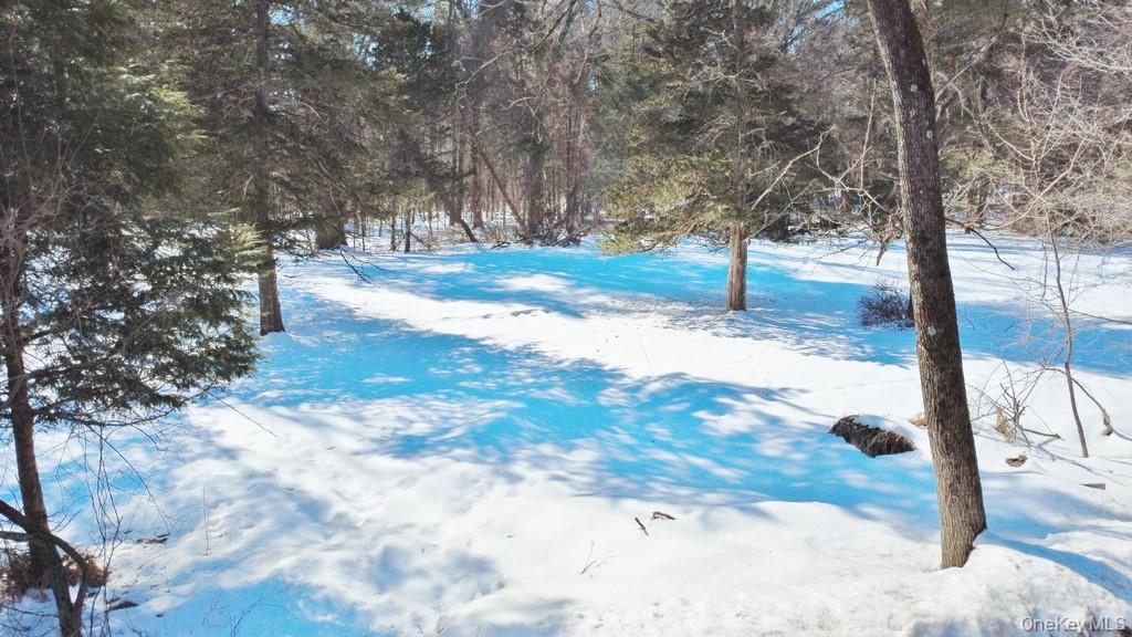 #9 photo, 139 Mill Dam Road, Stone Ridge , NY 12484