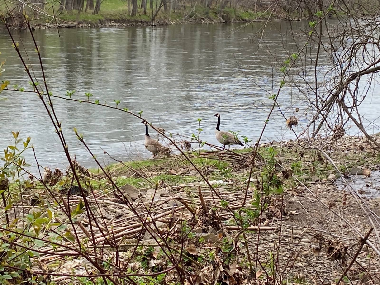 #21 photo, 532 NYS Route 28, 纽约州 Oneonta , NY 13820