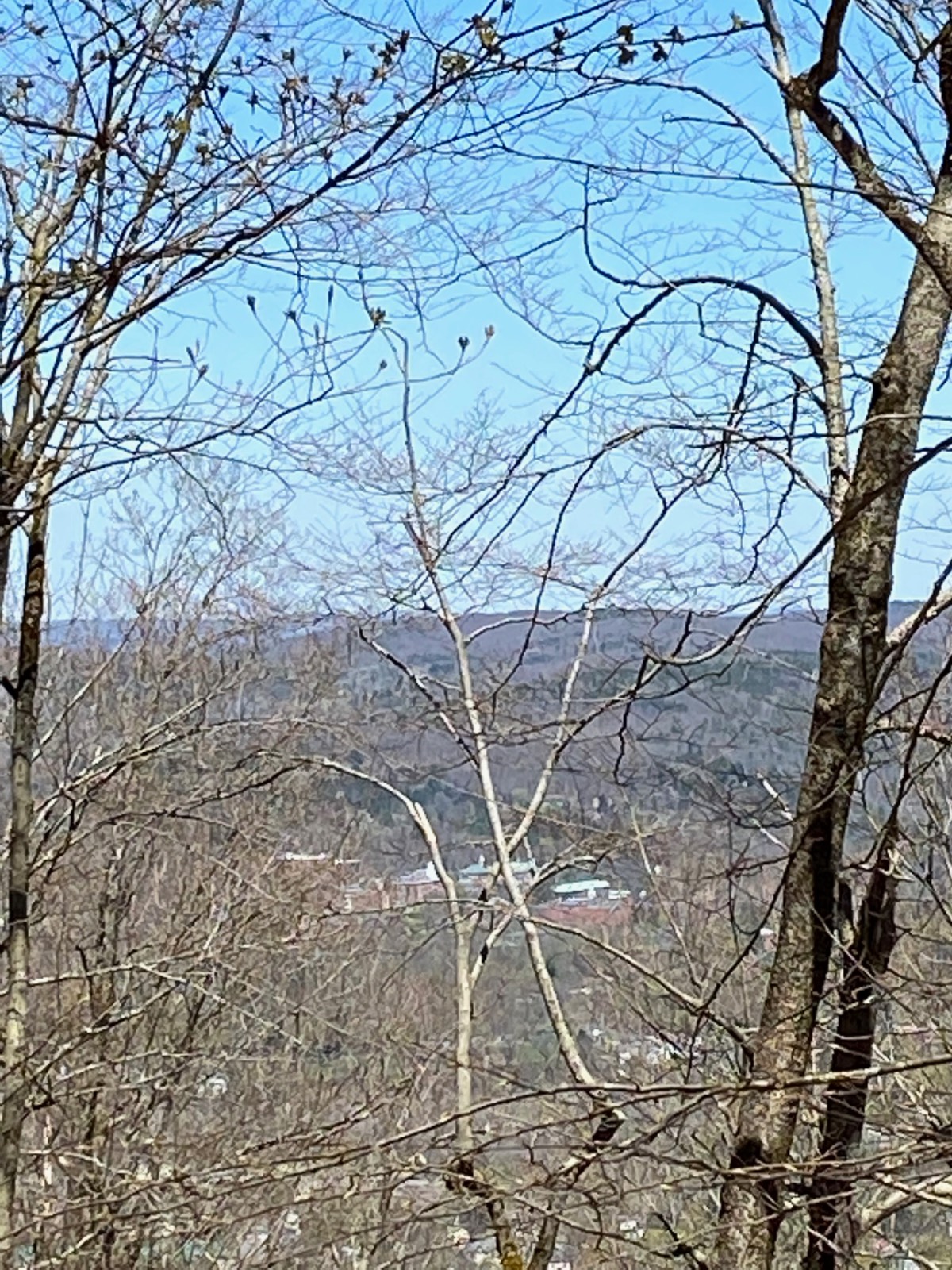 #24 photo, 532 NYS Route 28, 纽约州 Oneonta , NY 13820