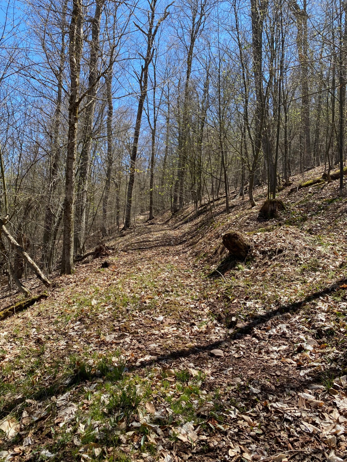 #27 photo, 532 NYS Route 28, 纽约州 Oneonta , NY 13820