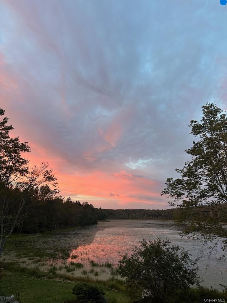 #4 photo, 10 Dorm Drive, Fallsburg , NY 12747