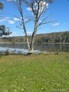 #5 photo, 10 Dorm Drive, Fallsburg , NY 12747