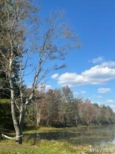 #6 photo, 10 Dorm Drive, Fallsburg , NY 12747