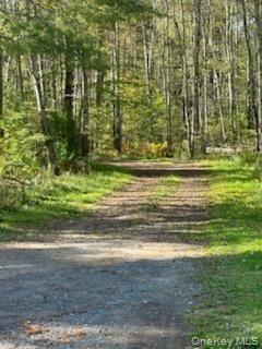 #7 photo, 10 Dorm Drive, Fallsburg , NY 12747