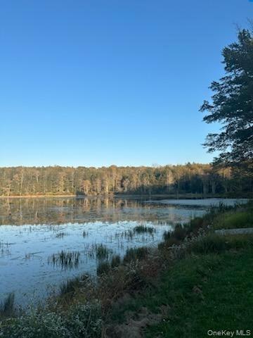 #8 photo, 10 Dorm Drive, Fallsburg , NY 12747