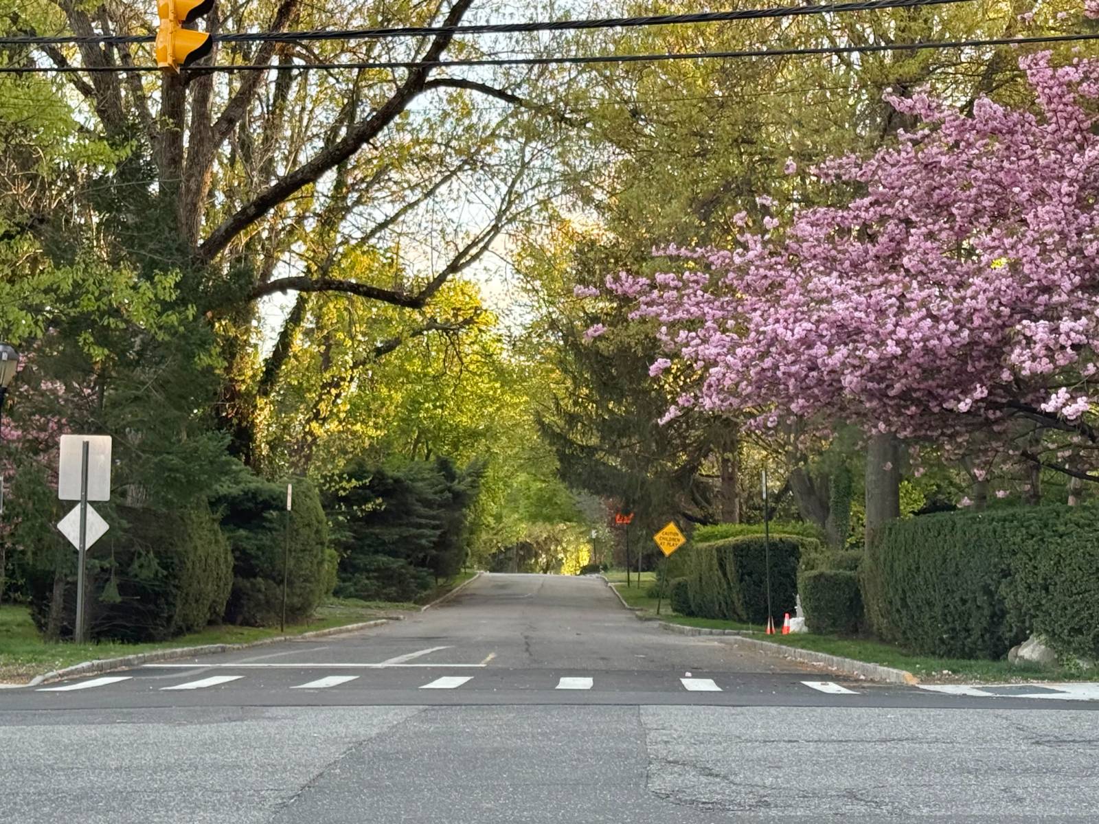 #11 photo, 2914 Bell Blvd, Bayside , NY 11360