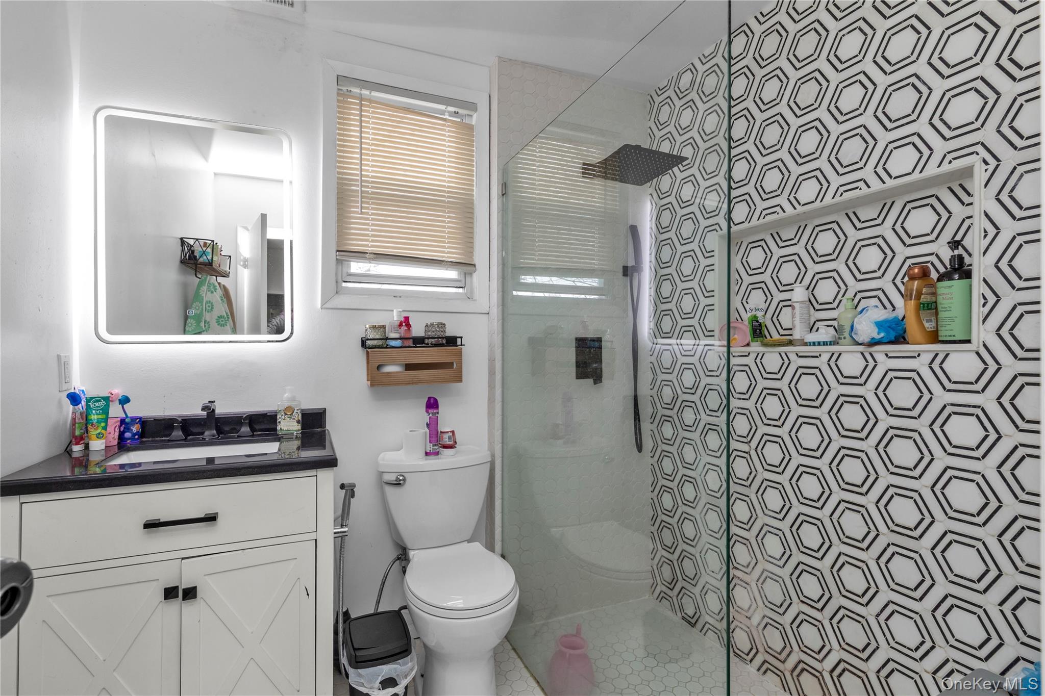 #9 photo, 47 Murray Hill Street, Elmont , NY 11003