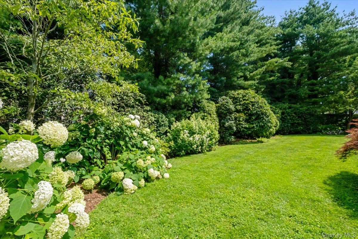 #7 photo, 21 Orchard Road, Larchmont , NY 10538