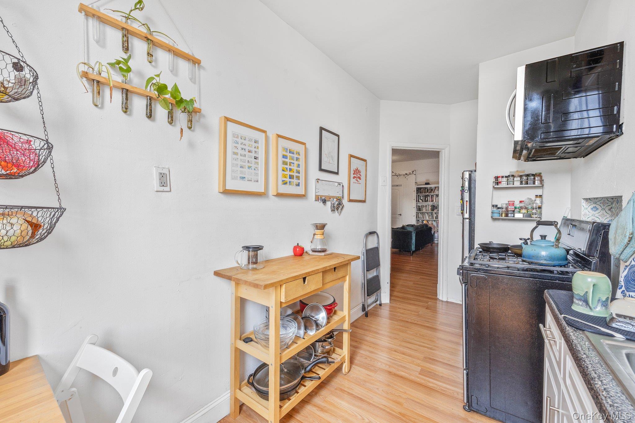 #13 photo, 166 Schaefer Street, 布鲁克林 Brooklyn , NY 11207