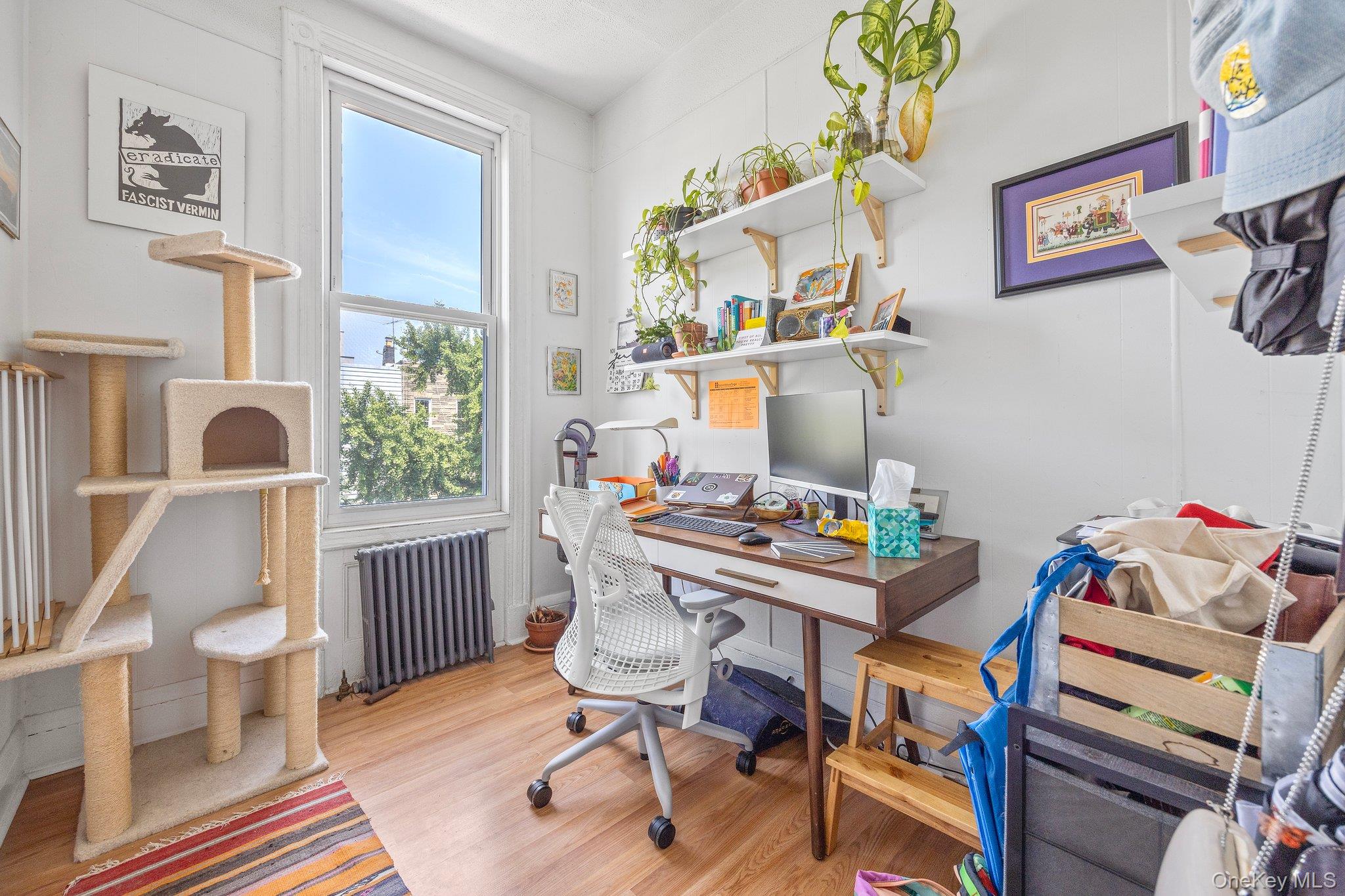 #16 photo, 166 Schaefer Street, 布鲁克林 Brooklyn , NY 11207