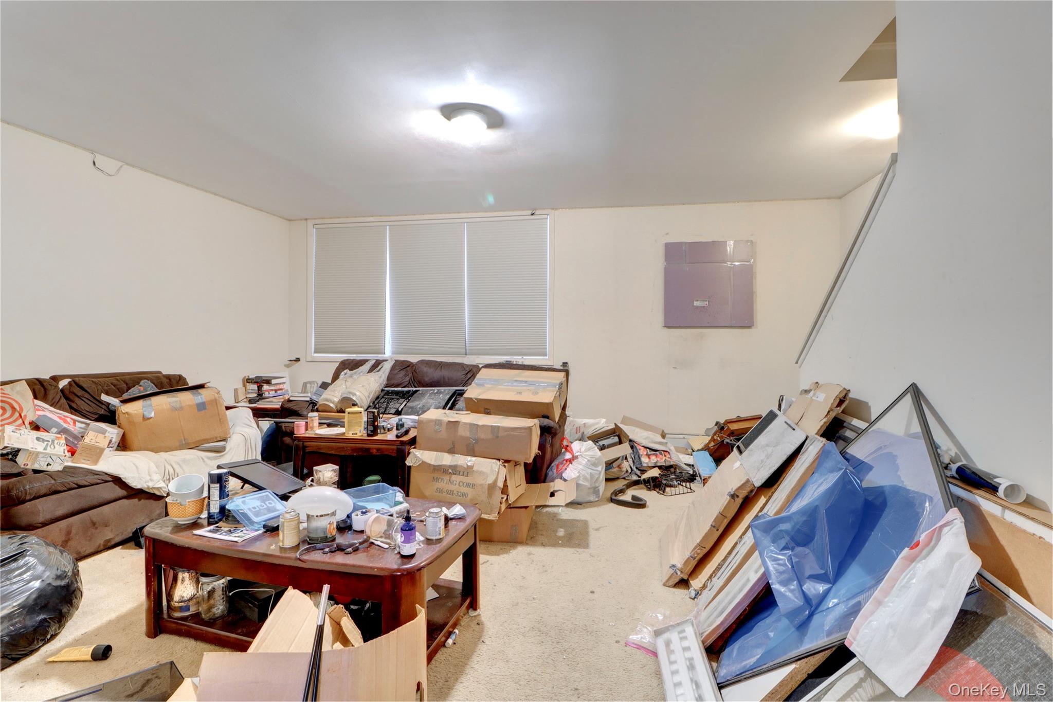 #8 photo, 639 Vandalia Avenue, 브루클린 Brooklyn , NY 11239