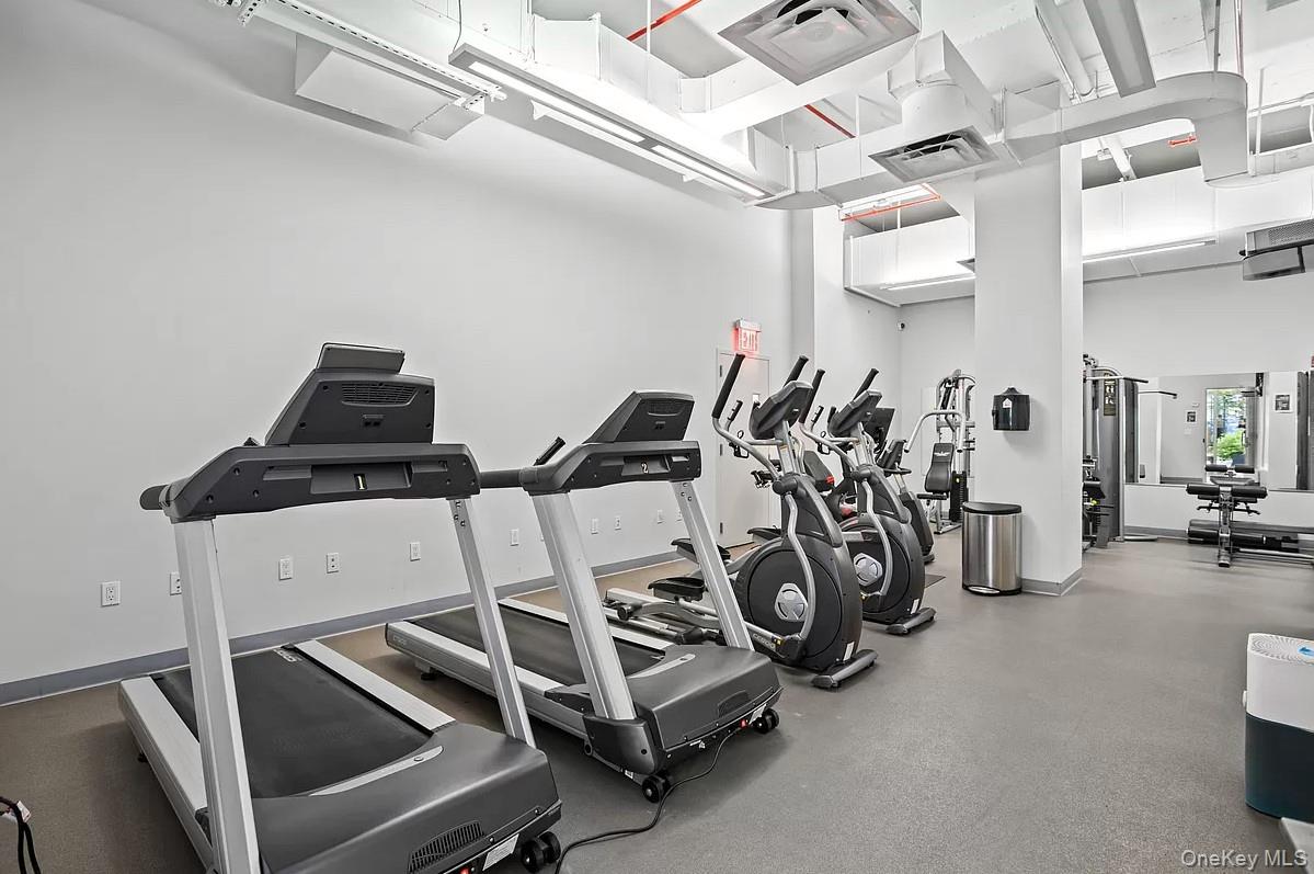 #8 photo, 23 W 116th Street, New York (Manhattan) , NY 10026