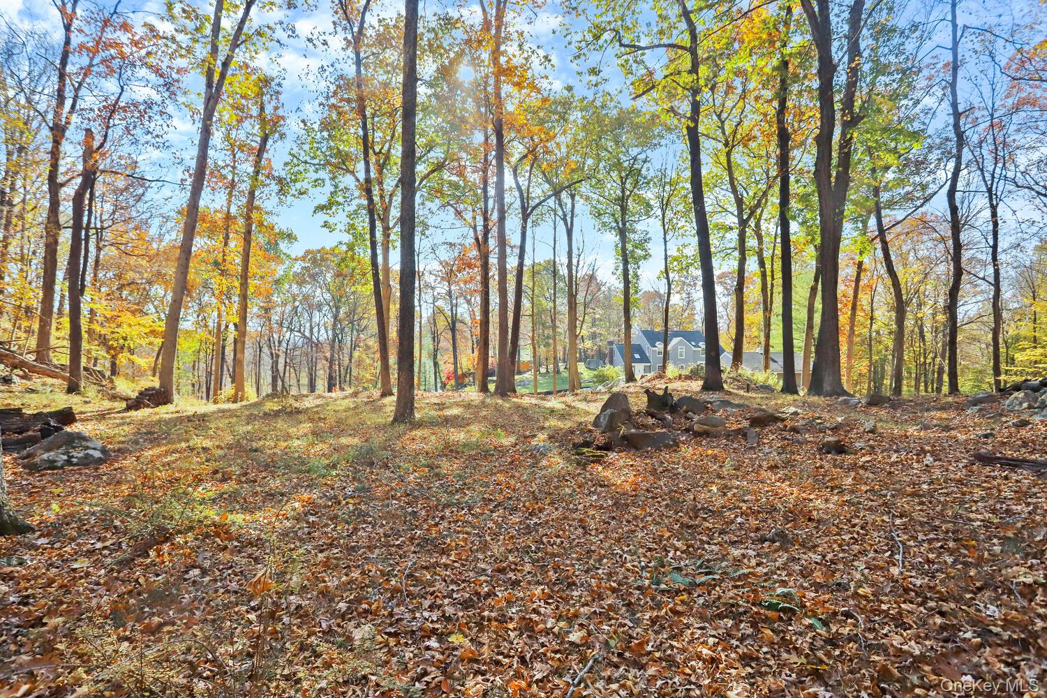 #8 photo, 517A Old Chappaqua Road, Briarcliff Manor , NY 10510