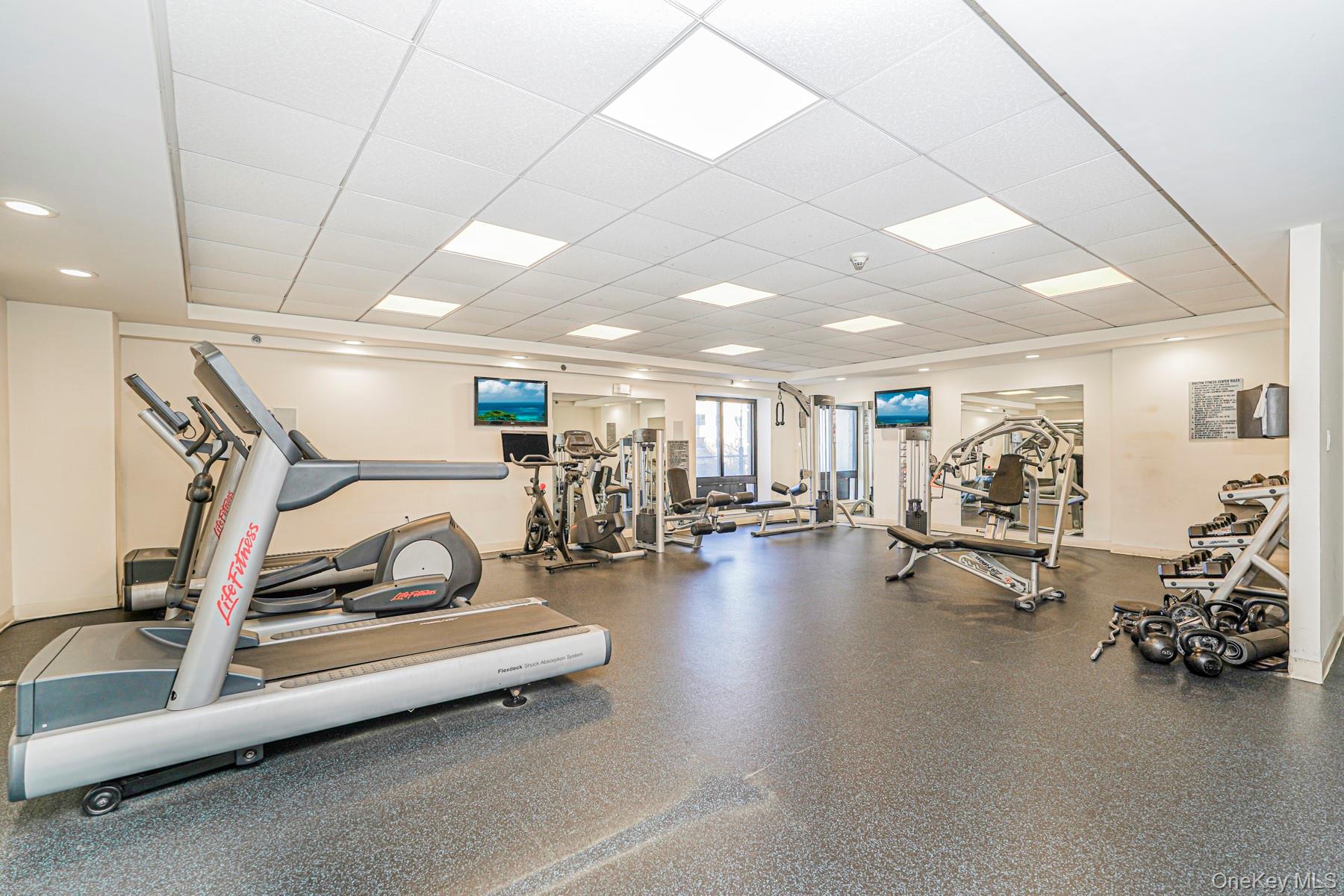 #17 photo, 775 Lafayette, 브루클린 Brooklyn , NY 11221