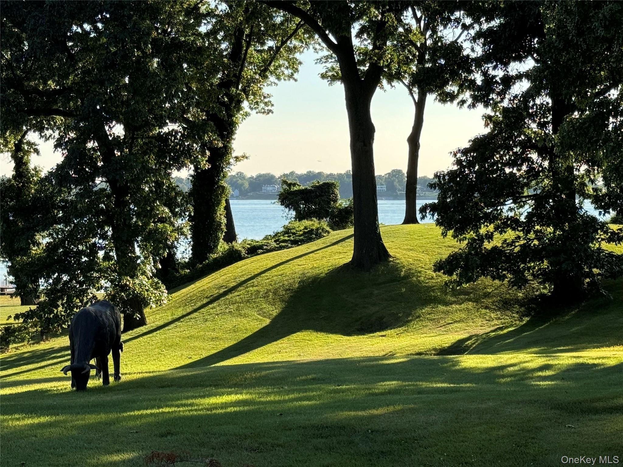 #18 photo, 45 Cedar Lane, Port Washington , NY 11050