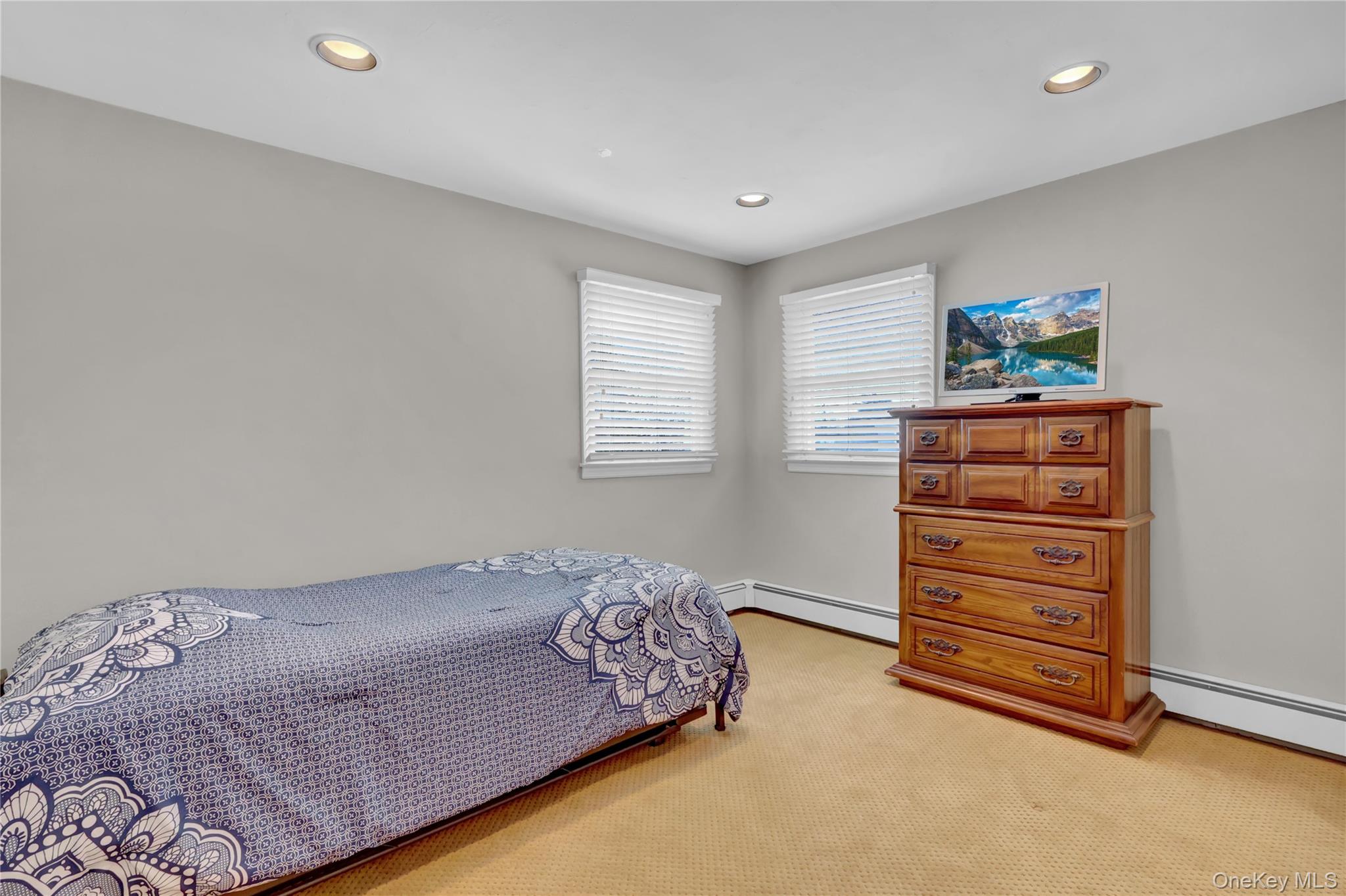 #19 photo, 59 Lincoln Boulevard, Bethpage , NY 11714