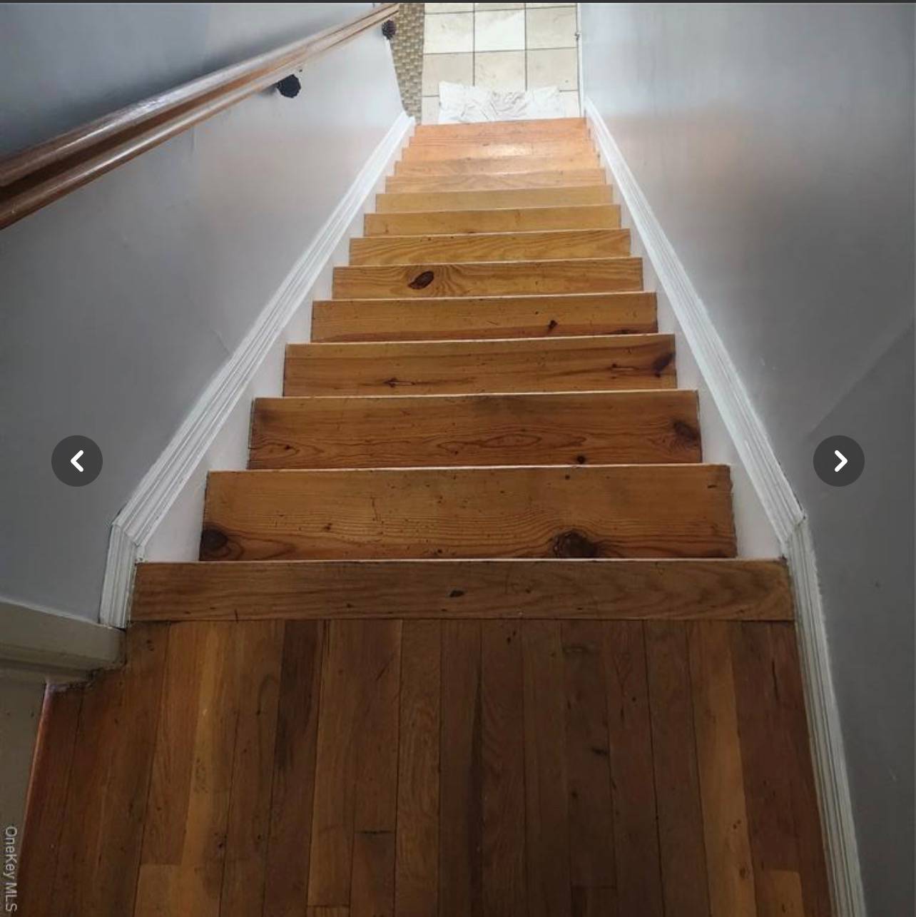 #13 photo, 933 Tilden Street, Williamsbridge , NY 10469