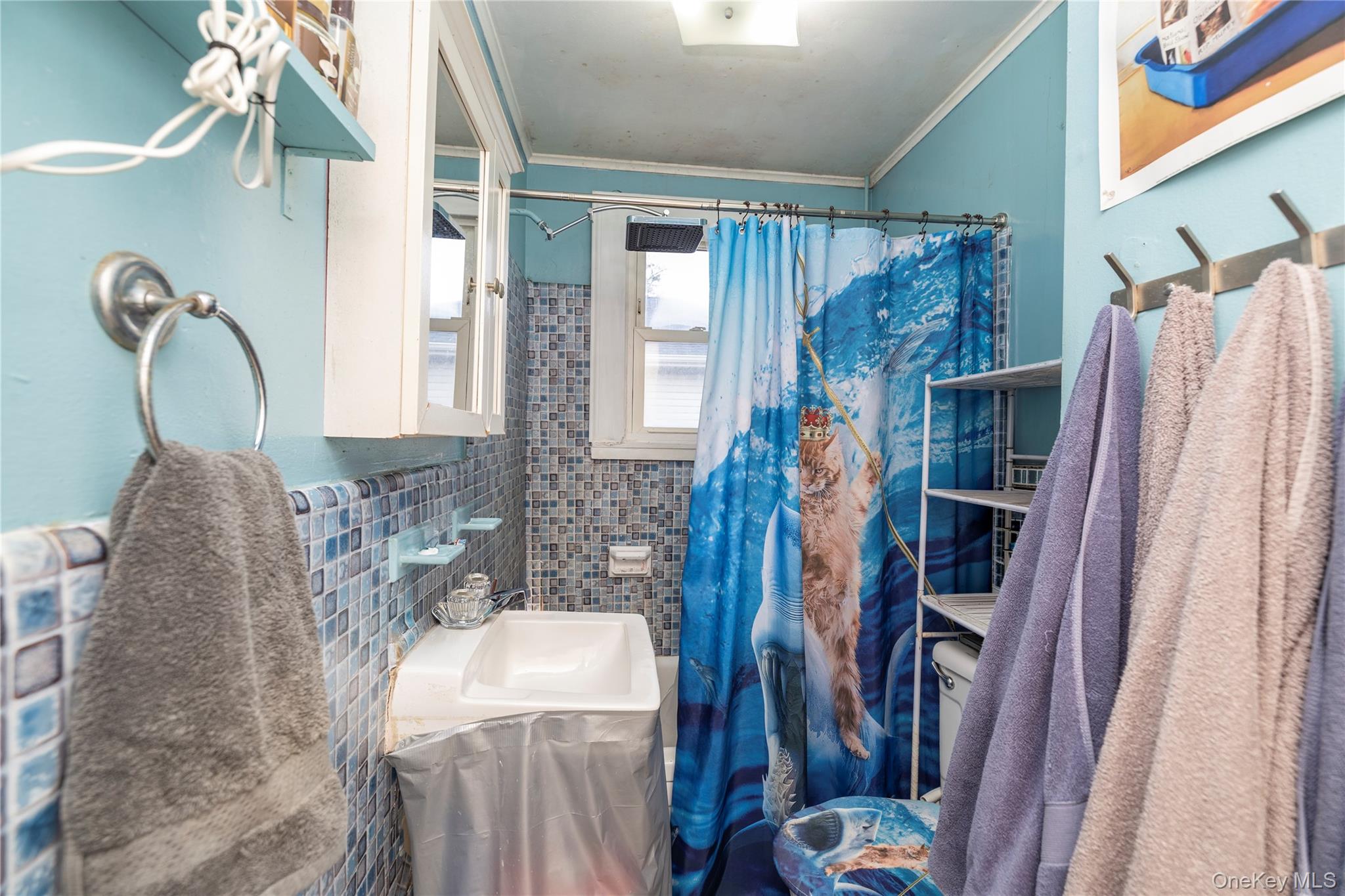 #18 photo, 882 Ocean Street, 長島 Baldwin Harbor , NY 11510