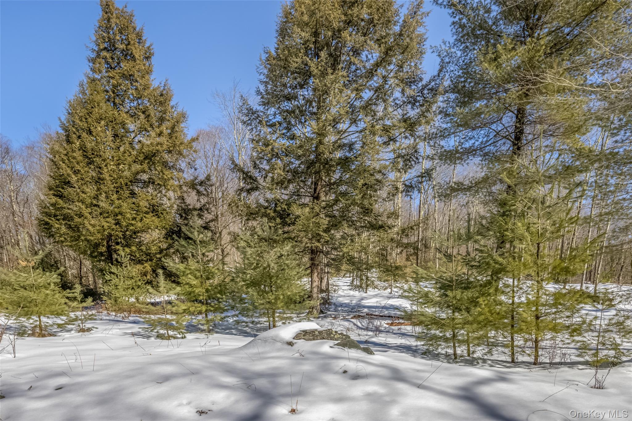 #7 photo, Camp Road, Ellenville , NY 12489