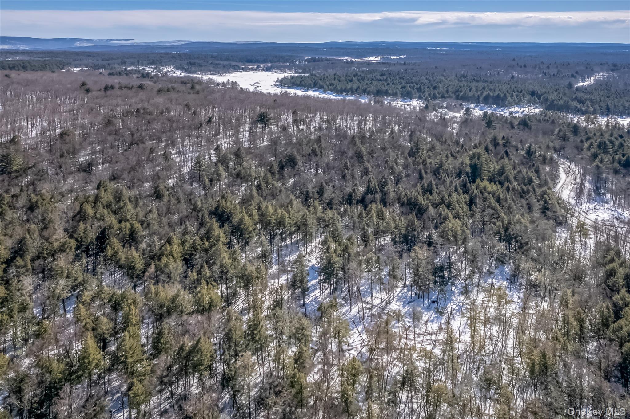 #8 photo, Camp Road, Ellenville , NY 12489