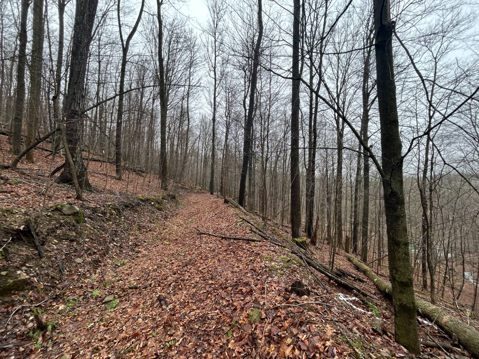 #10 photo, L212 Kelly Hill Rd, Pine City , NY 14871