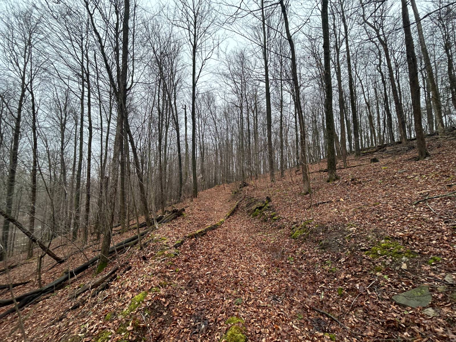 #11 photo, L212 Kelly Hill Rd, Pine City , NY 14871