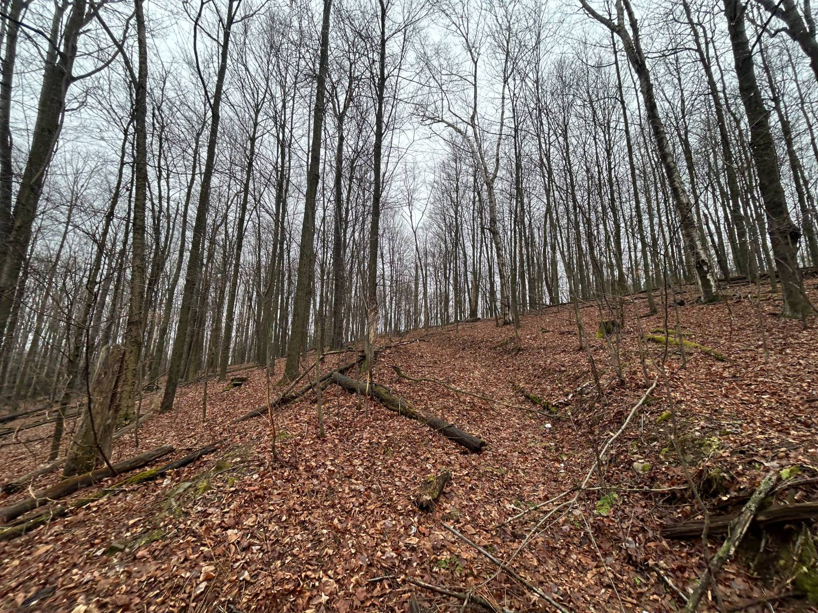 #12 photo, L212 Kelly Hill Rd, Pine City , NY 14871