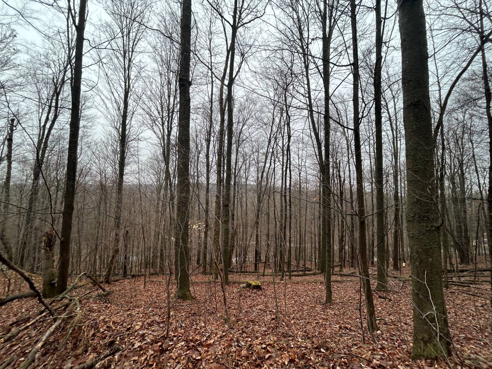 #13 photo, L212 Kelly Hill Rd, Pine City , NY 14871