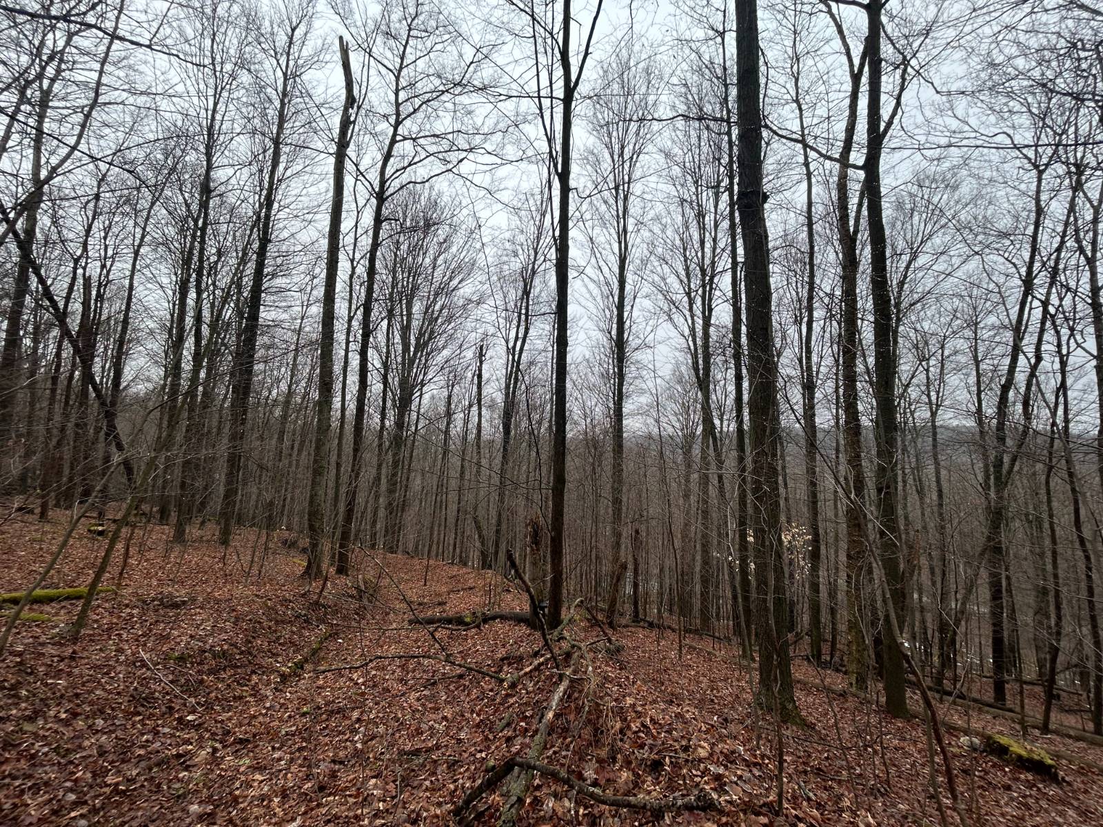 #14 photo, L212 Kelly Hill Rd, Pine City , NY 14871