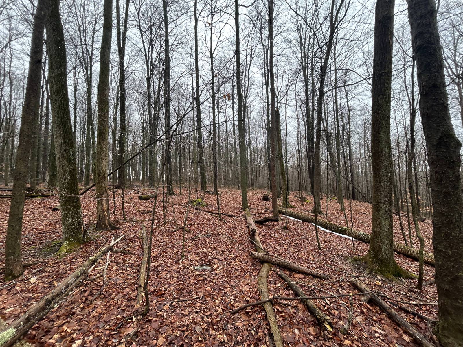 #17 photo, L212 Kelly Hill Rd, Pine City , NY 14871