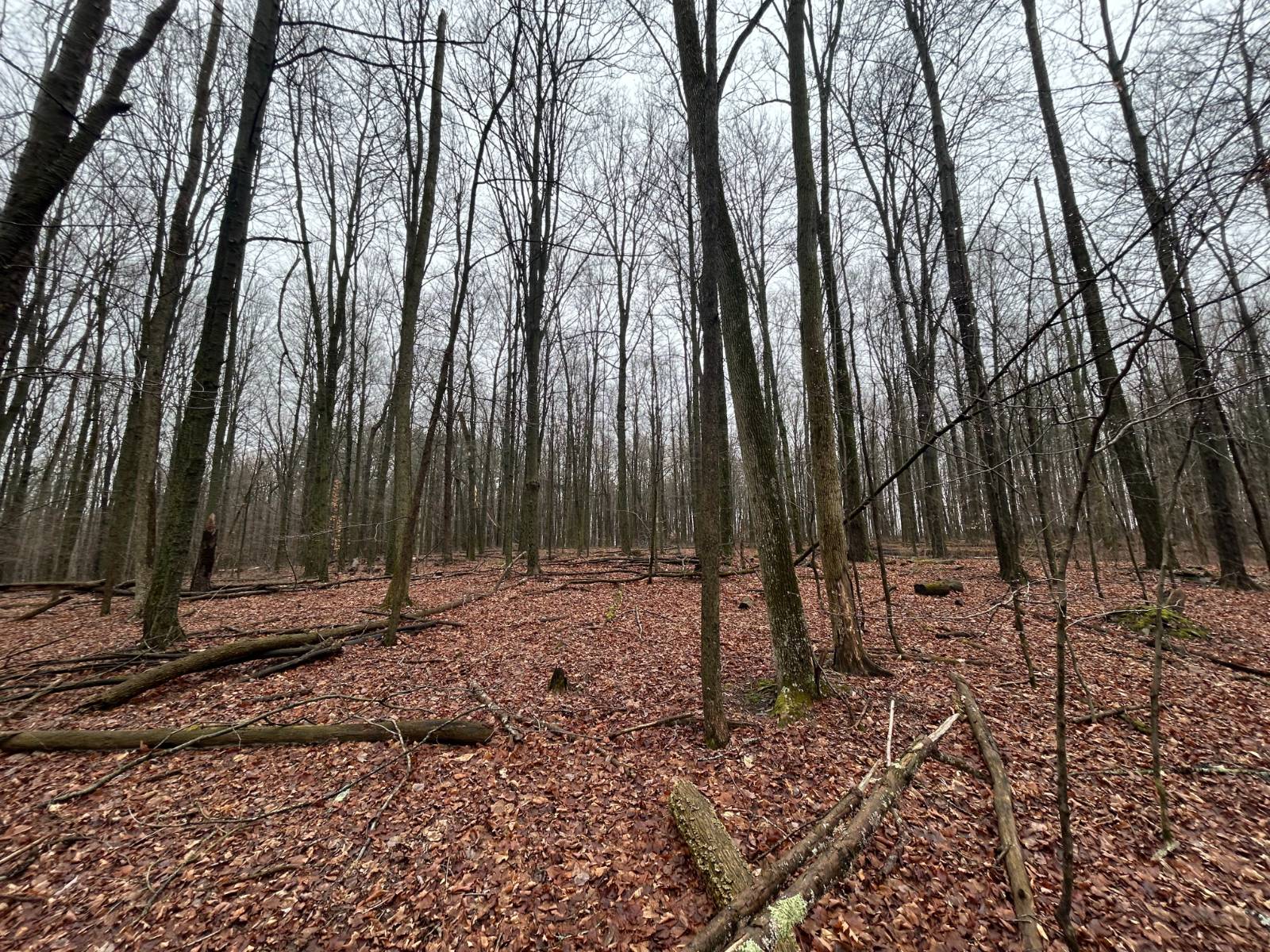 #18 photo, L212 Kelly Hill Rd, Pine City , NY 14871