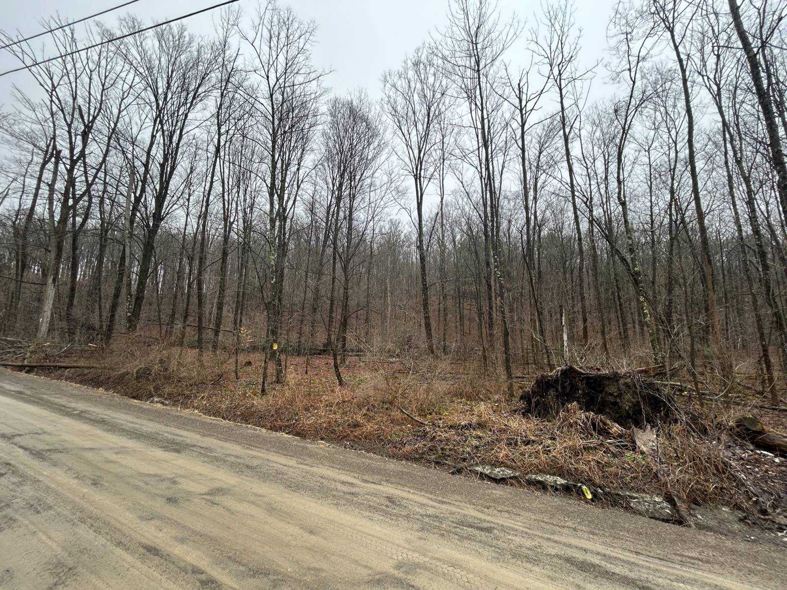 #2 photo, L212 Kelly Hill Rd, Pine City , NY 14871