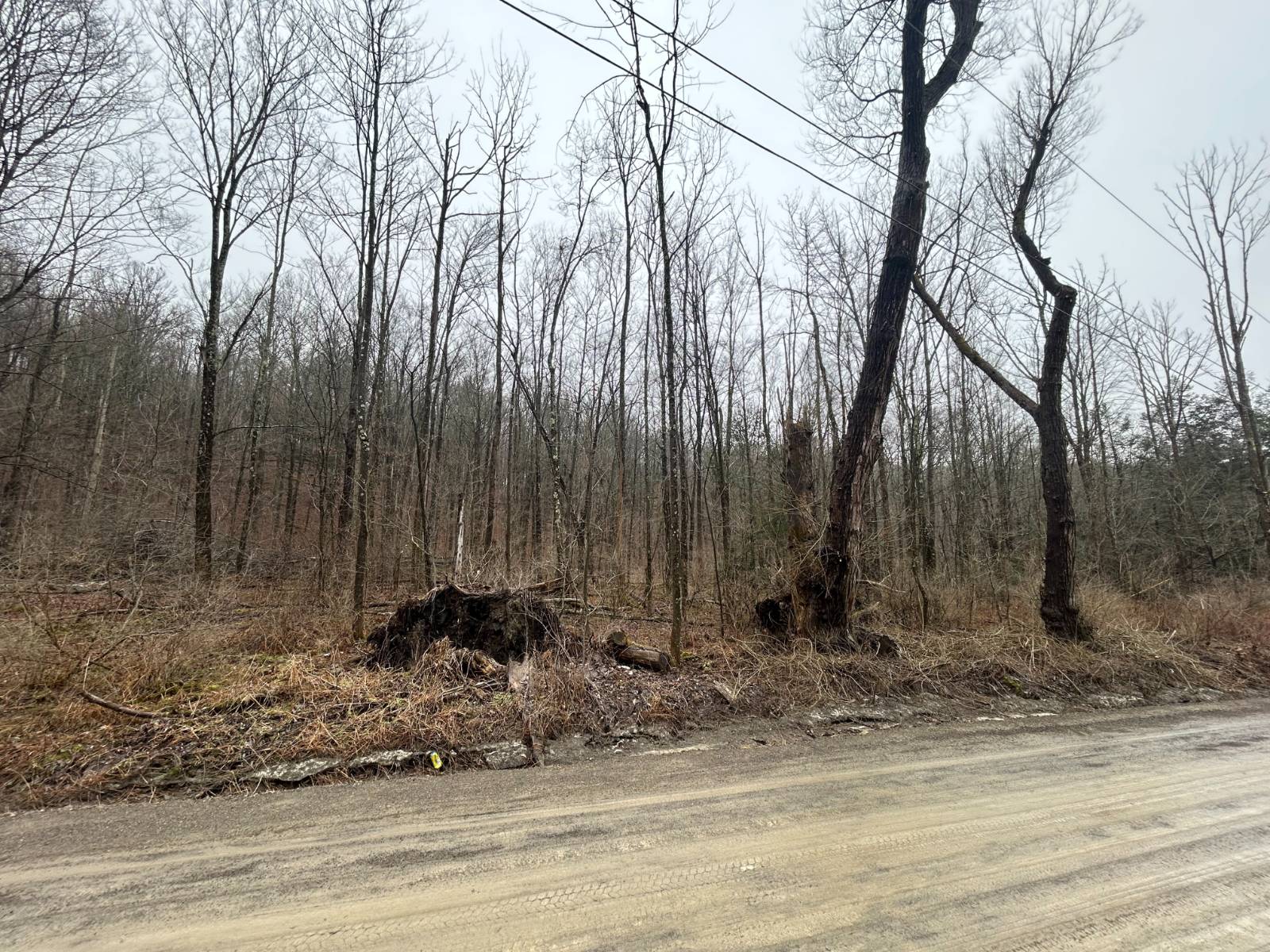 #3 photo, L212 Kelly Hill Rd, Pine City , NY 14871