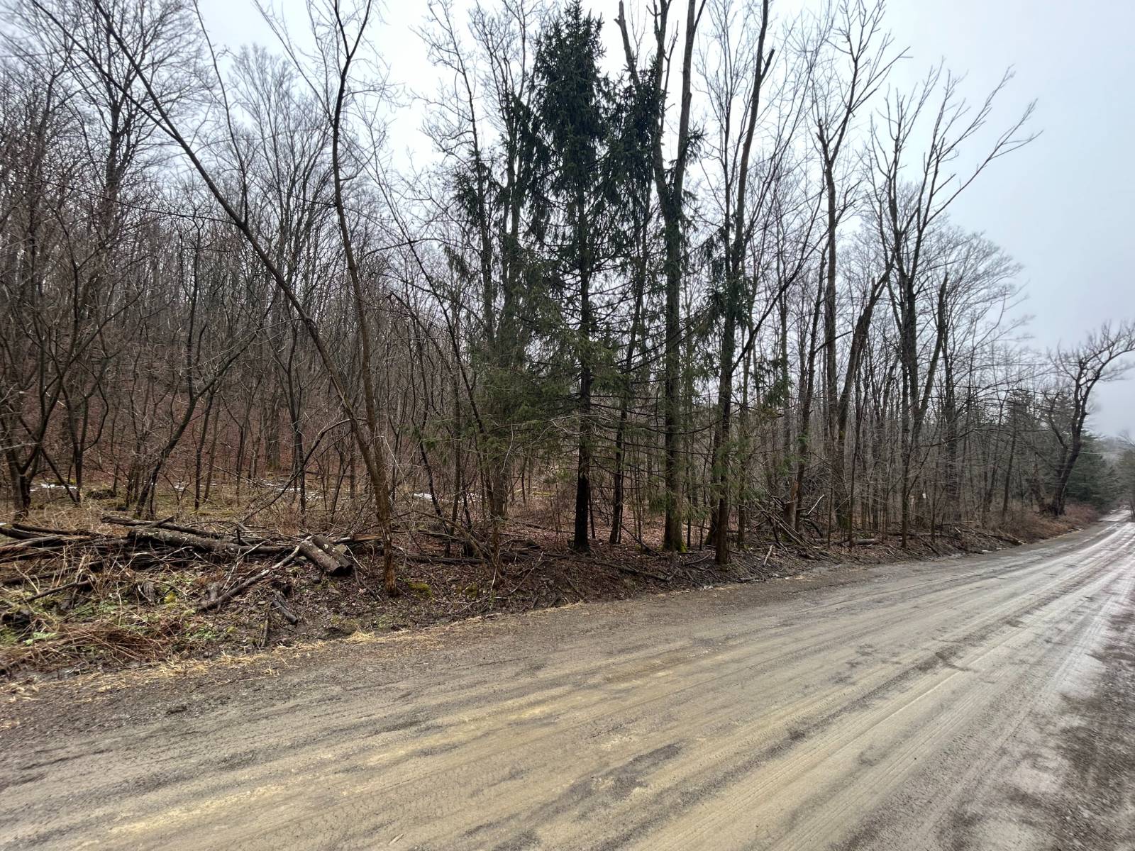 #4 photo, L212 Kelly Hill Rd, Pine City , NY 14871