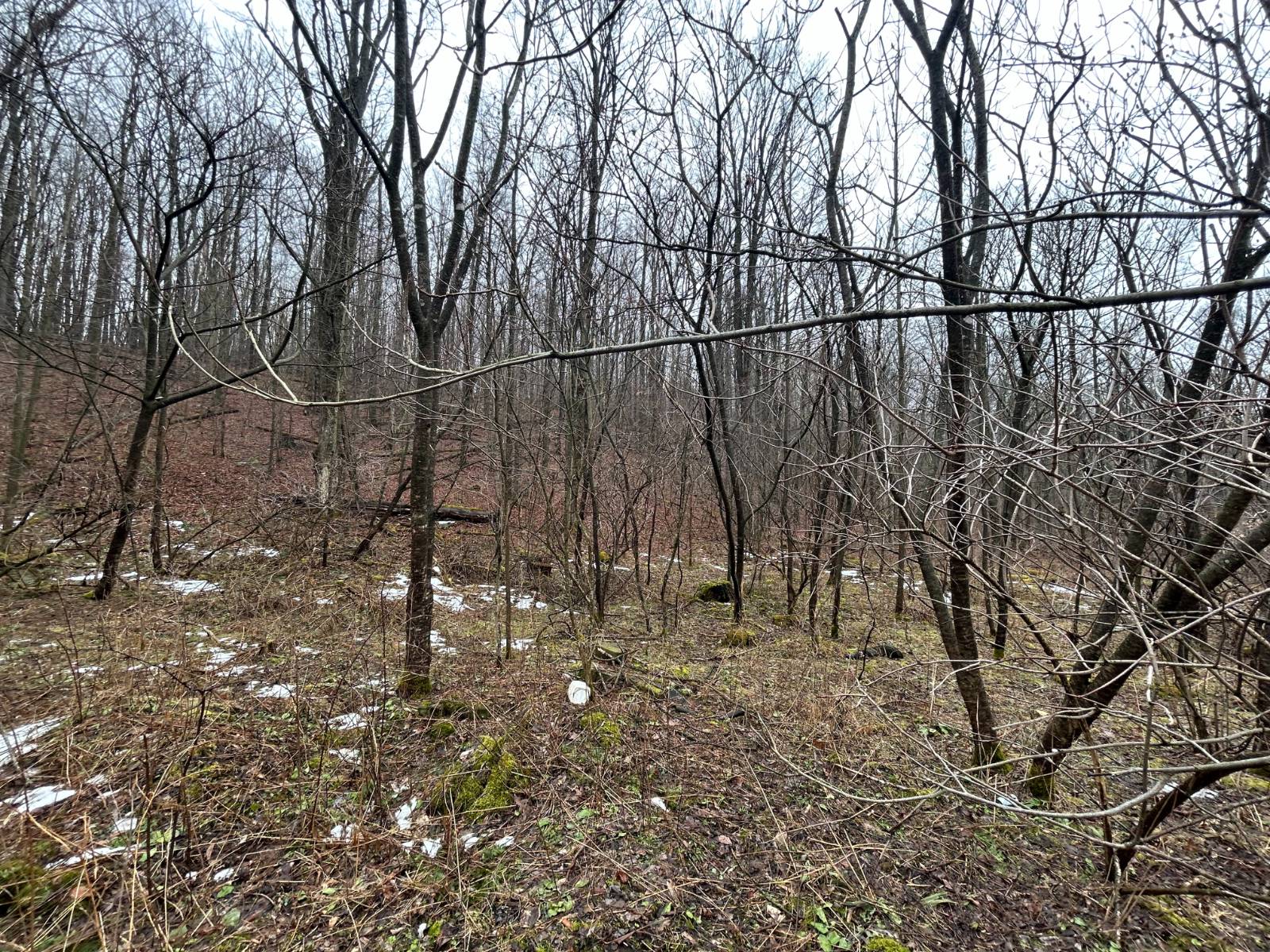 #5 photo, L212 Kelly Hill Rd, Pine City , NY 14871