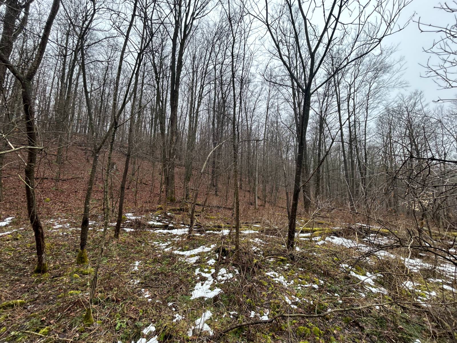 #6 photo, L212 Kelly Hill Rd, Pine City , NY 14871