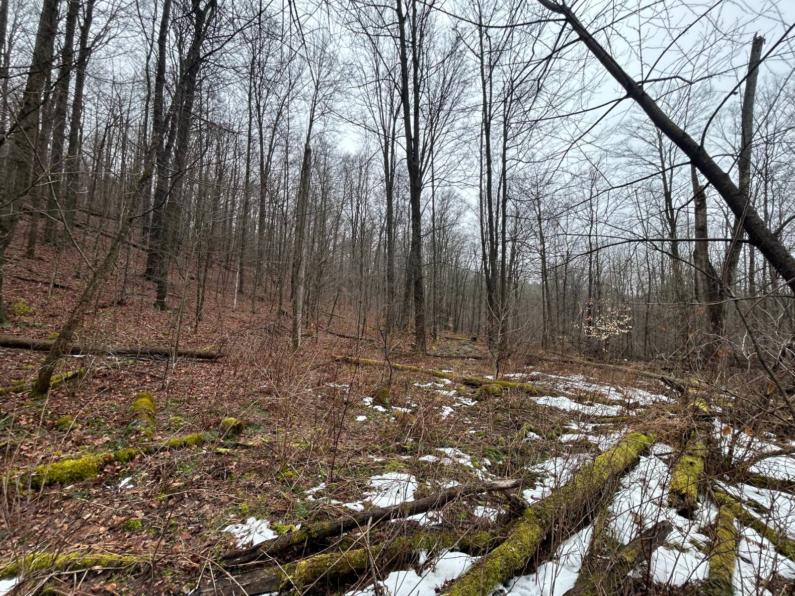 #7 photo, L212 Kelly Hill Rd, Pine City , NY 14871