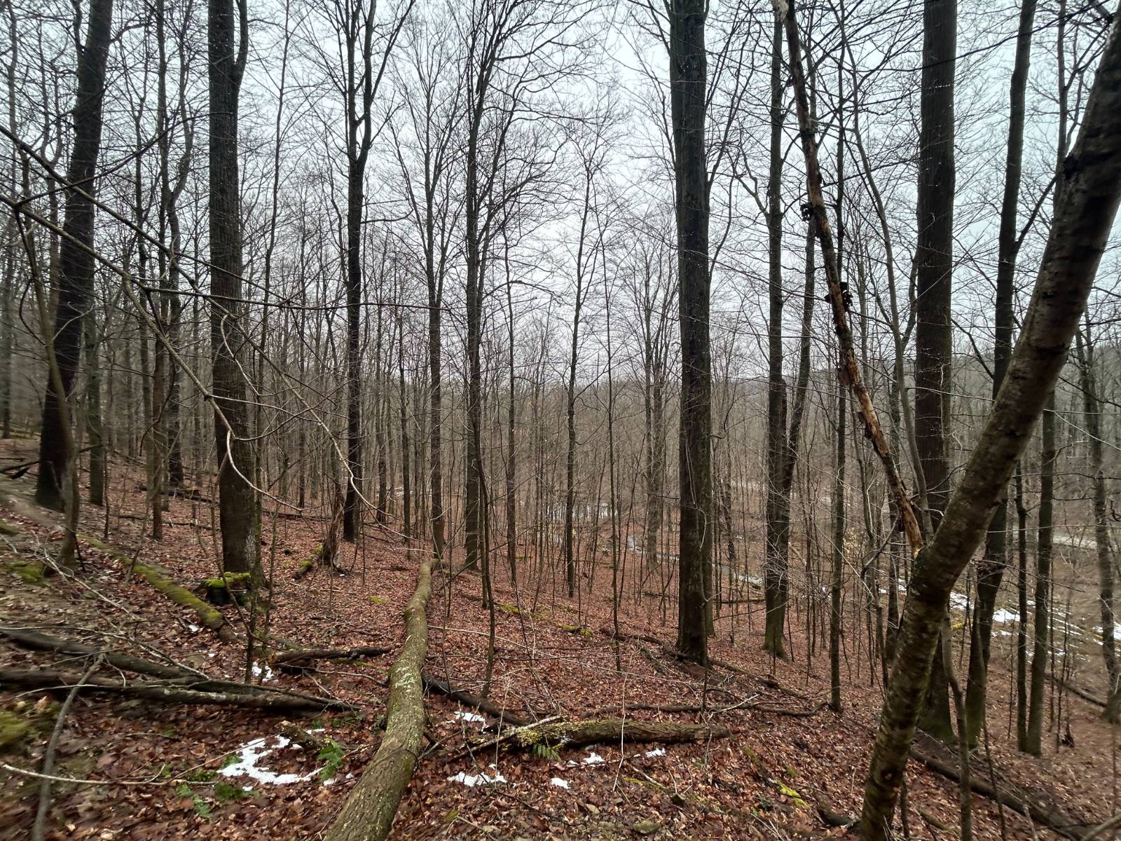 #8 photo, L212 Kelly Hill Rd, Pine City , NY 14871